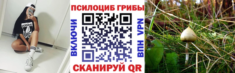 Галлюциногенные грибы MAGIC MUSHROOMS  Агидель 